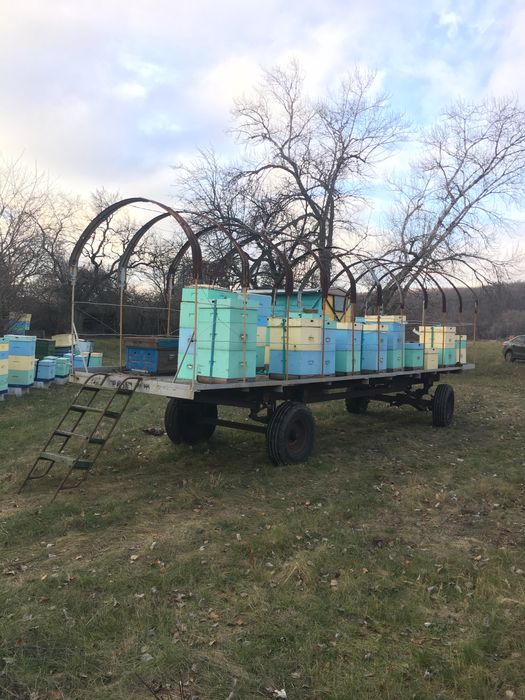 Платформа для ульев, пчелоплатформа