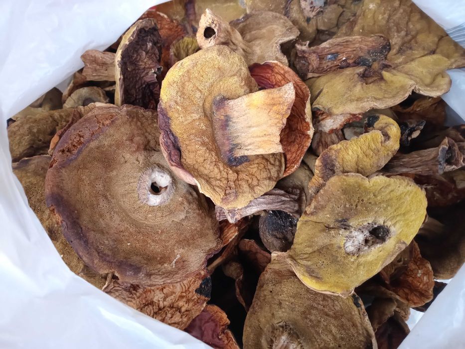 Гриби білі, сушені в печі 3 сорту