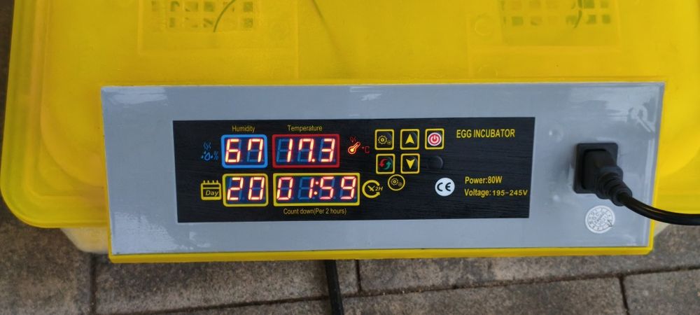 Inkubator do jaj 48 sztuk automatyczne obracanie