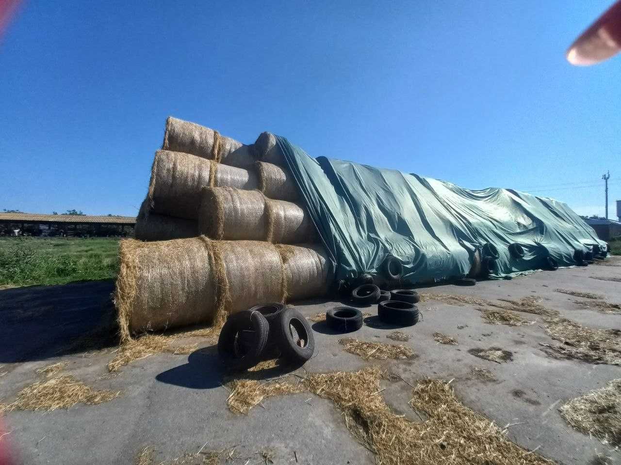 Продам свіже сіно люцерни та різнотрав'я в круглих тюках
