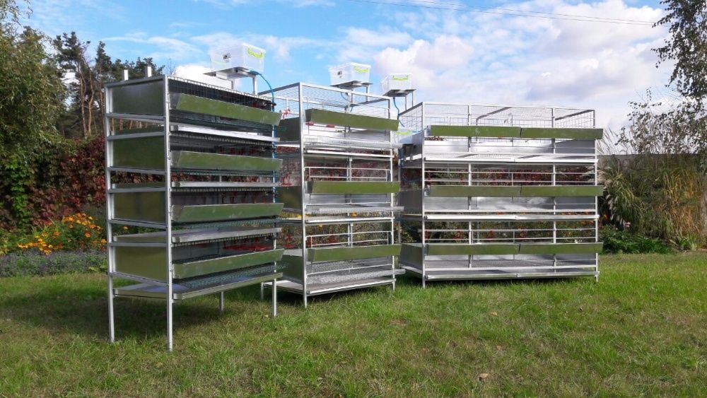 Клетка для бройлеров