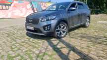Kia Sorento Salon Polska, Business Line, 4X4