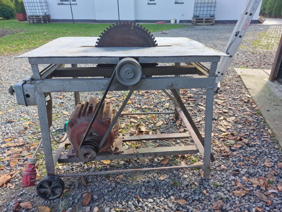 Krajzega do cięcia drzewa