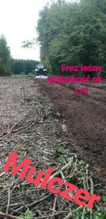 wycinka drzew,lasów/rekultywacja/głęboko/rębak/frezowanie/karczowanie