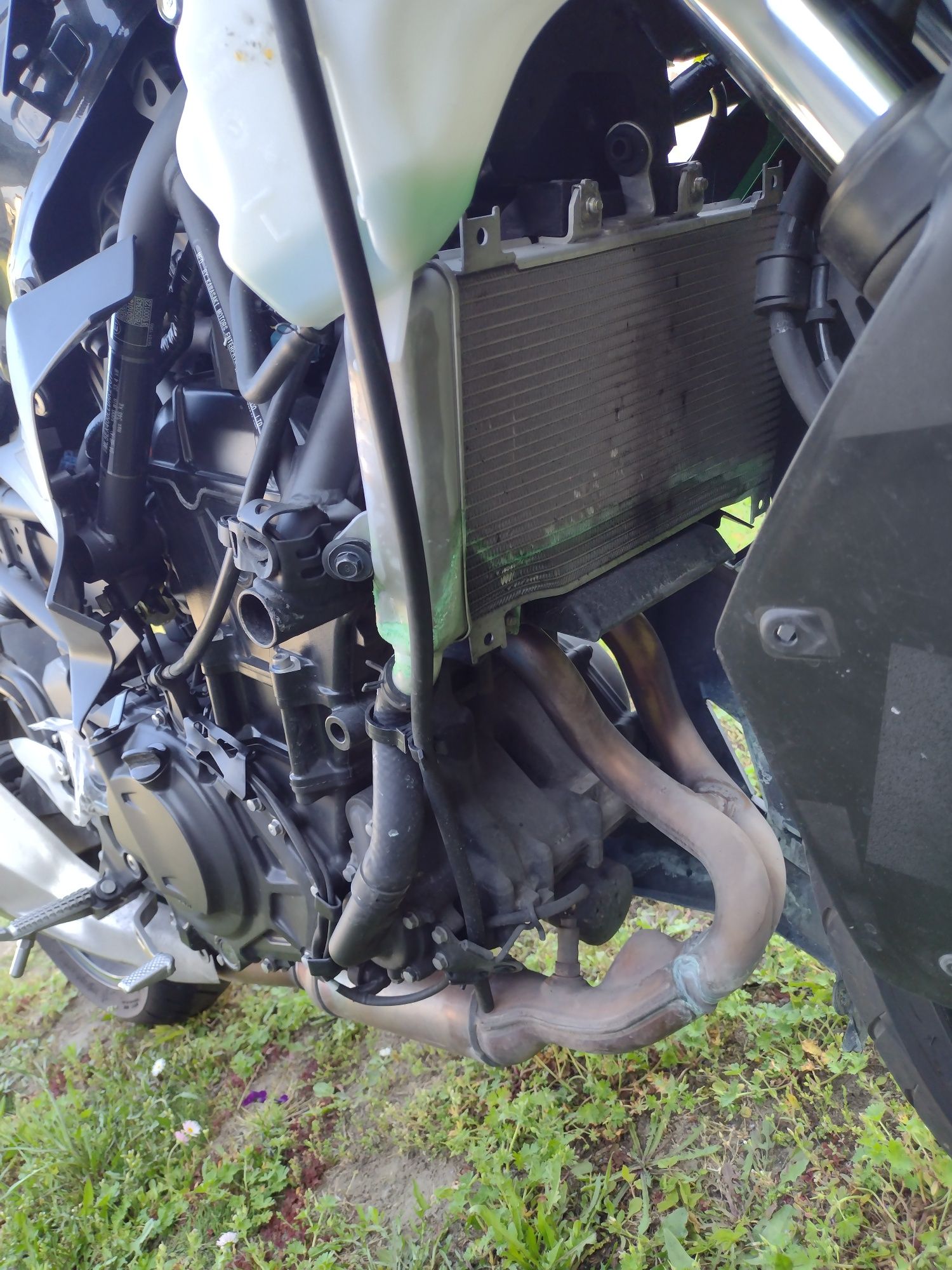 Kawasaki Ninja 400 z400 A2 35kW