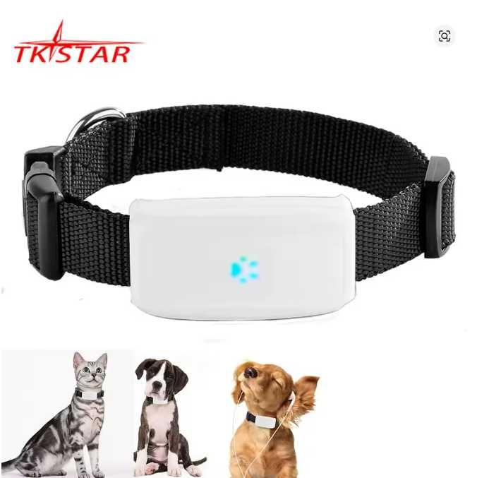 GPS-трекер для тварин TKSTAR Pet TK911 2G GSM, водонепроникний IP67