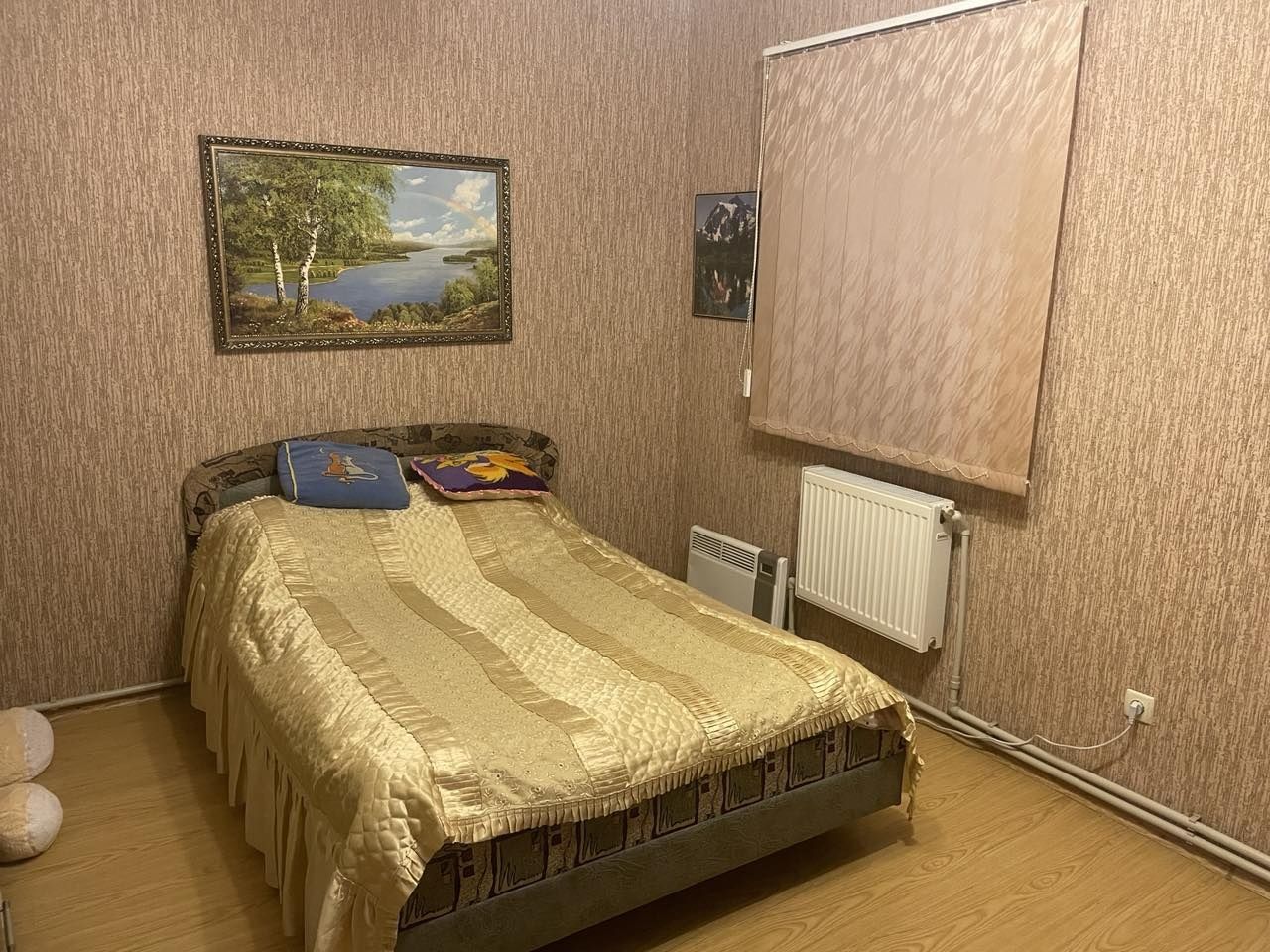 Дом в центре Ивановки!