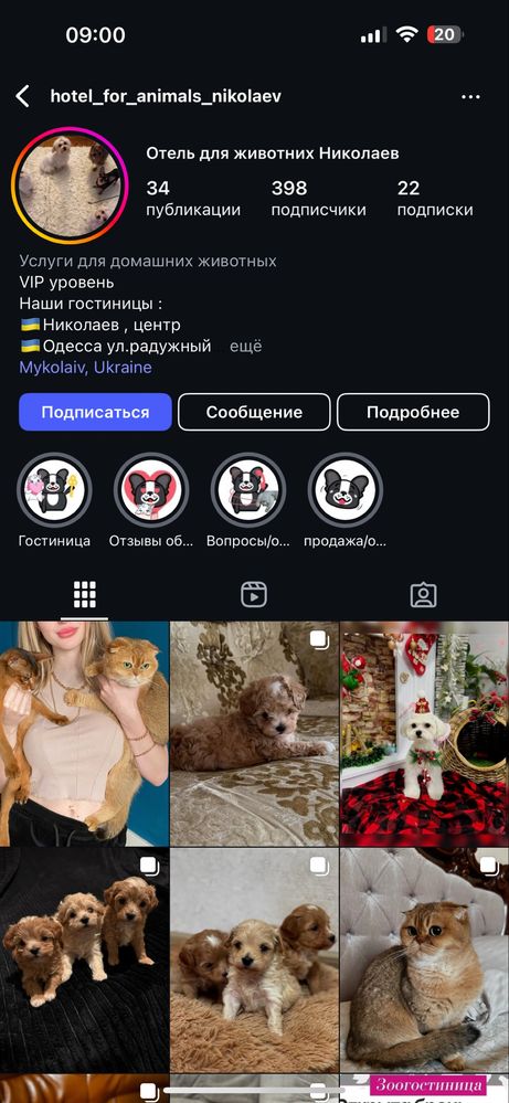 VIP гостиница для собак и кошек передержка животных готель для тварин