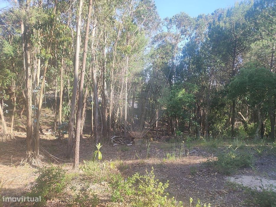 Terreno  para venda