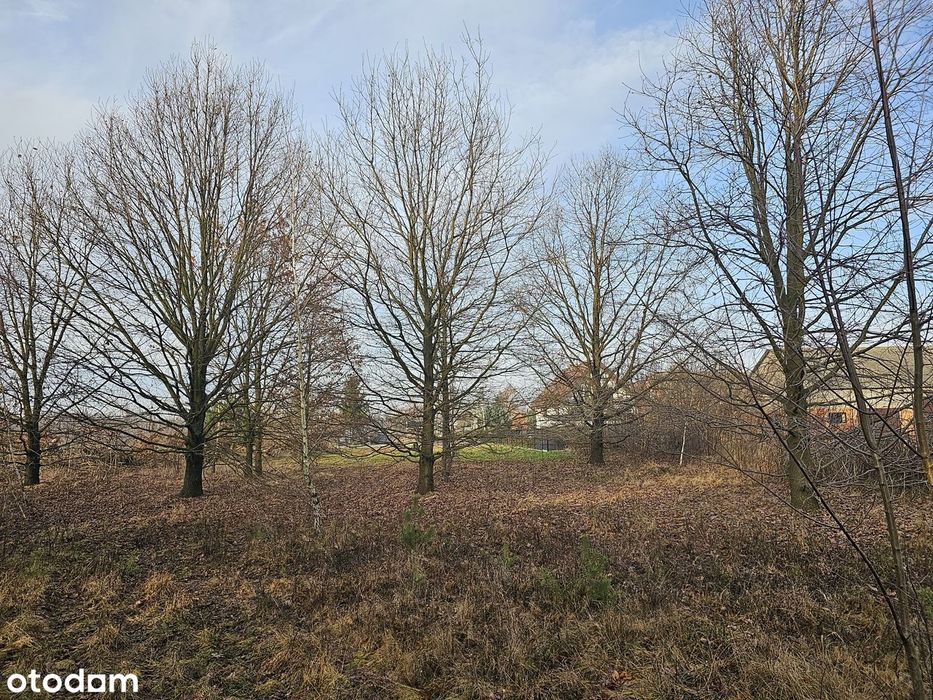 Działka budowlana 7200m2 Sochaczew Orły Cesin