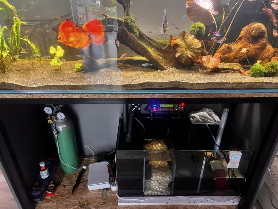 Akwarium 140x50x50+ sump CAŁY ZESTAW