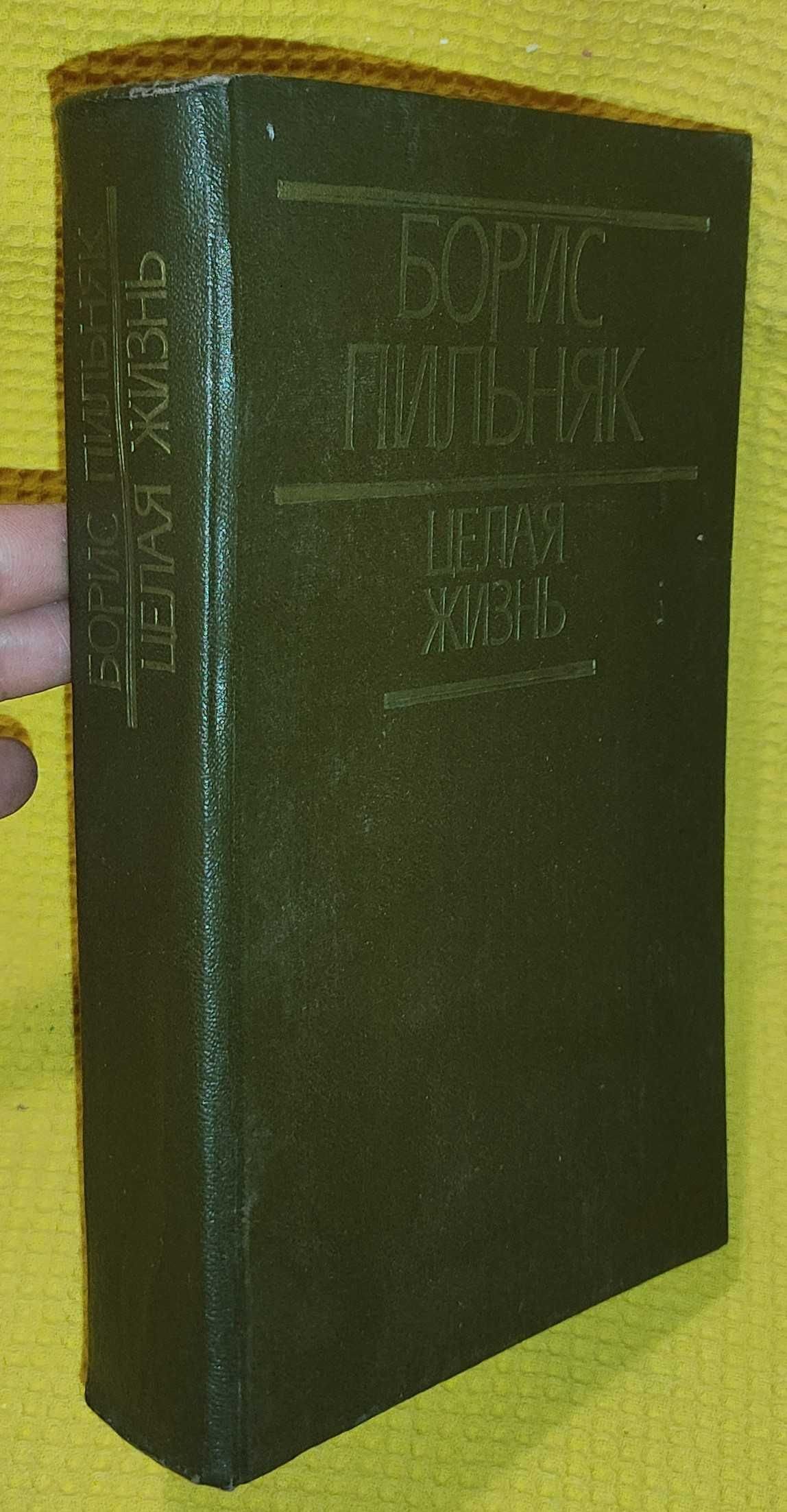 Борис Пильняк - Целая жизнь