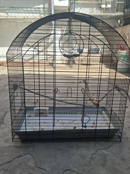Algumas gaiolas disponíveis