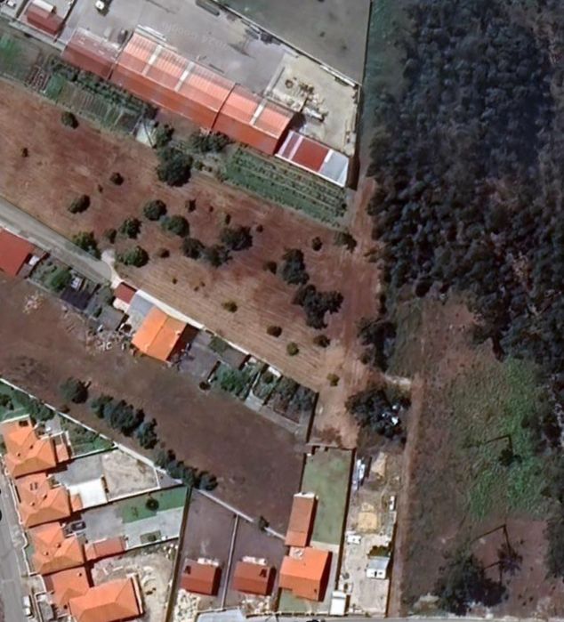 Terreno  Vieira Leiria