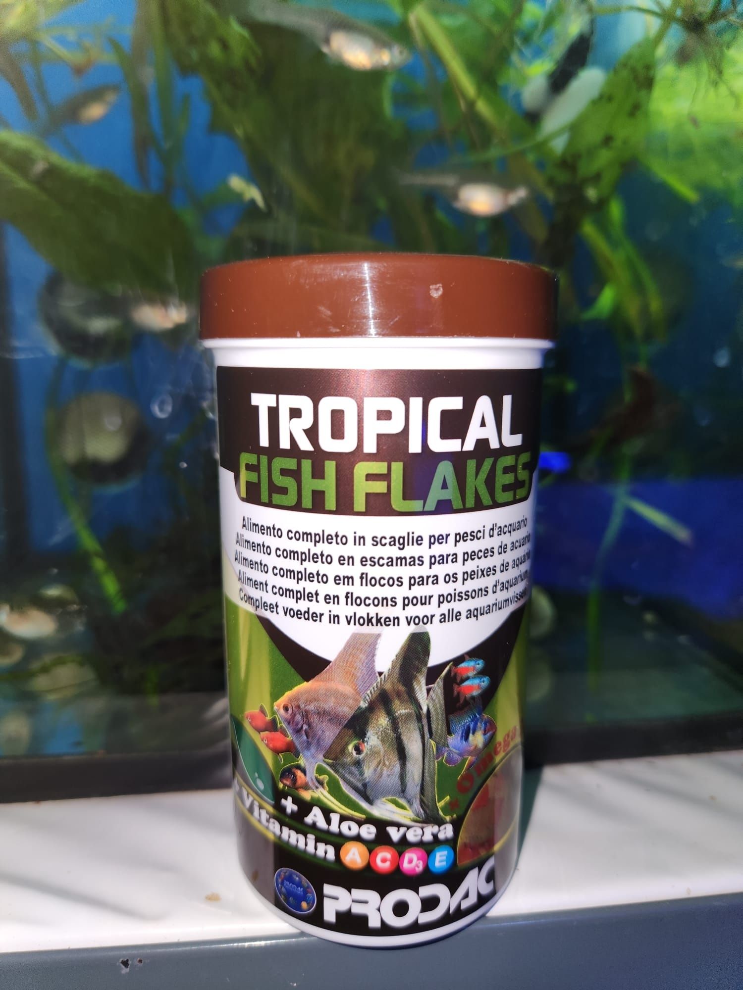 Comida para Guppys