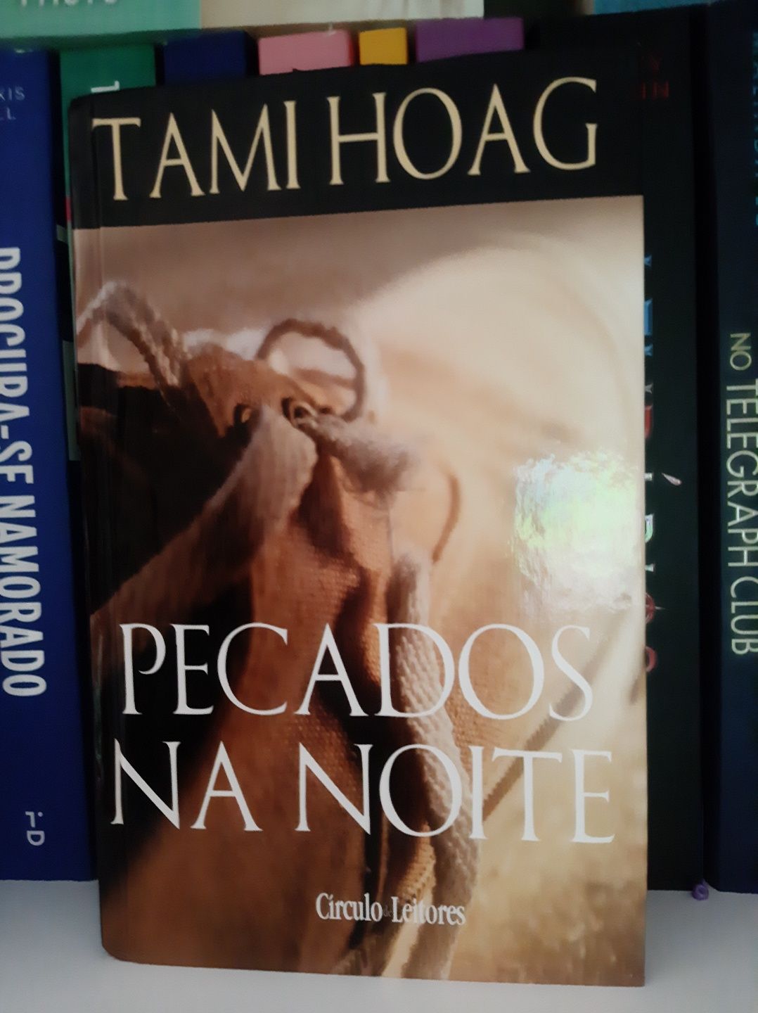 Livro Pecados na Noite