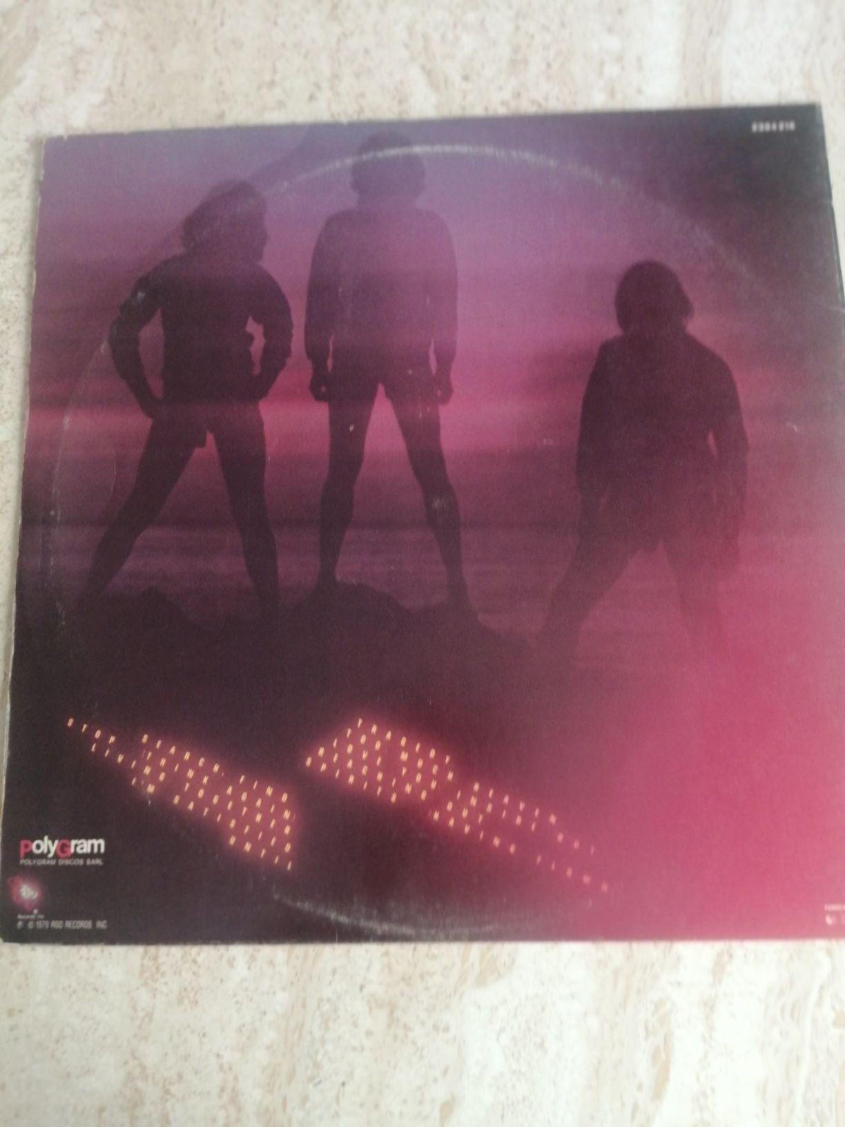 Discos vinil Lps Bee Gees