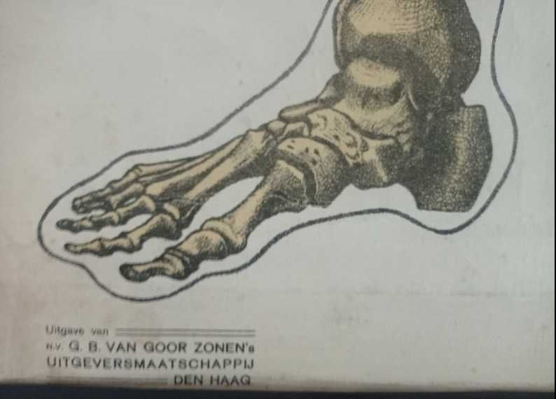 Materiais didáticos, mapas, gravuras, antigos e vintage