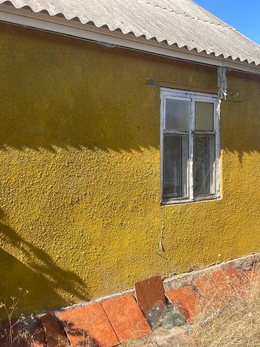 будинок , дача з землею н.п Паліівка