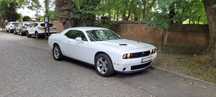 Dodge Challenger Godny Uwagi Egzemplarz