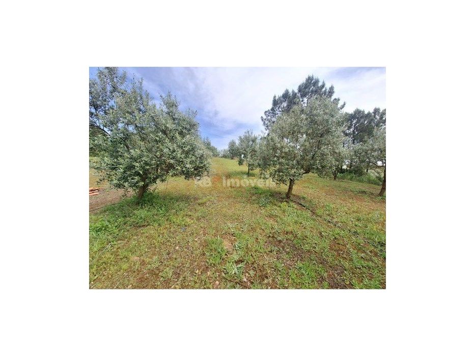 Terreno c/ duas frentes de estrada, PDM urbano, água, luz e saneame...