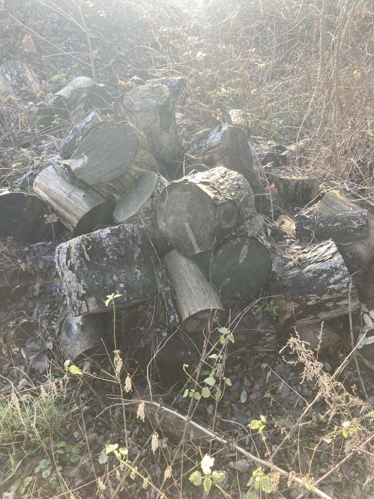 Drewno opałowe: sosna, świerk, modrzew, lipa, osika w klockach 30 cm.