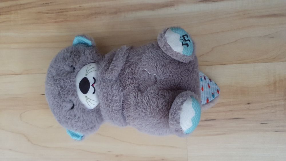 Wydra szumiaca oddychająca