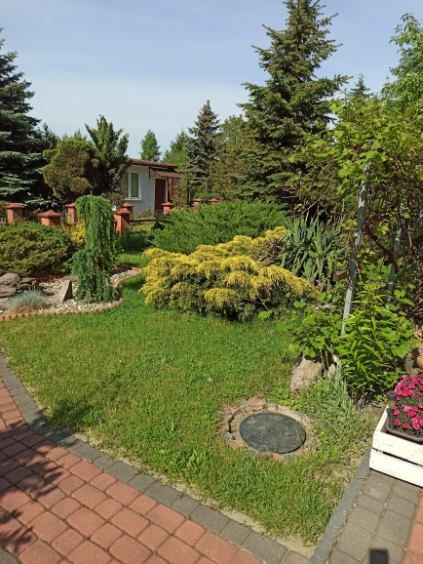 Prace I usługi ogrodnicze