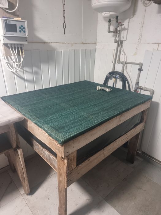 Paśniki do chodowli ślimaków