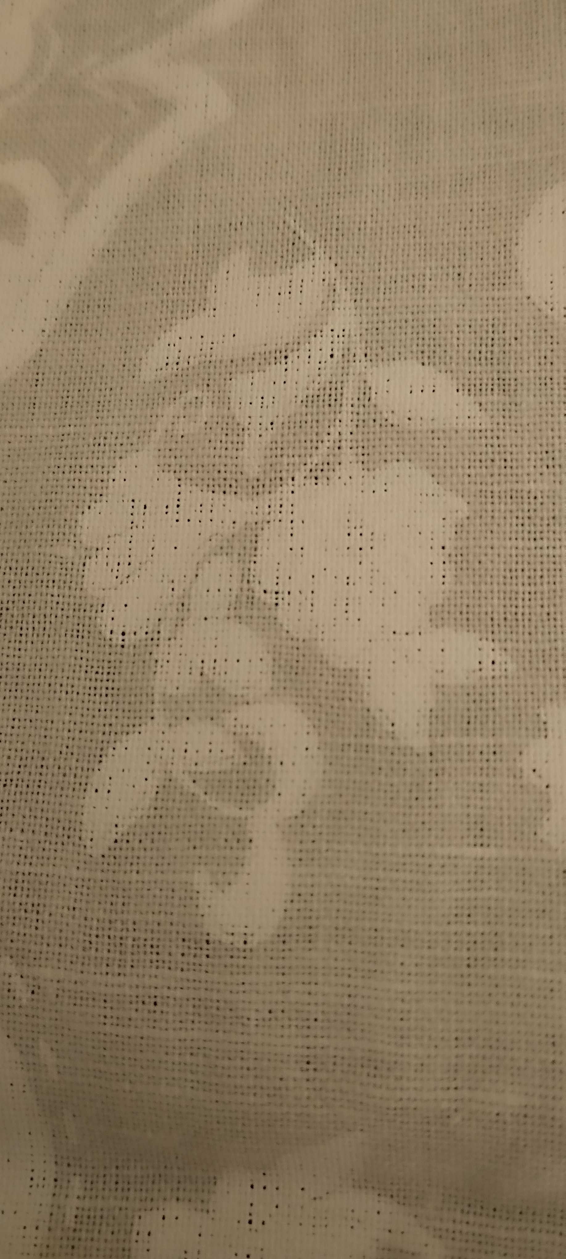 Guardanapos Zara Home algodão lavrado branco