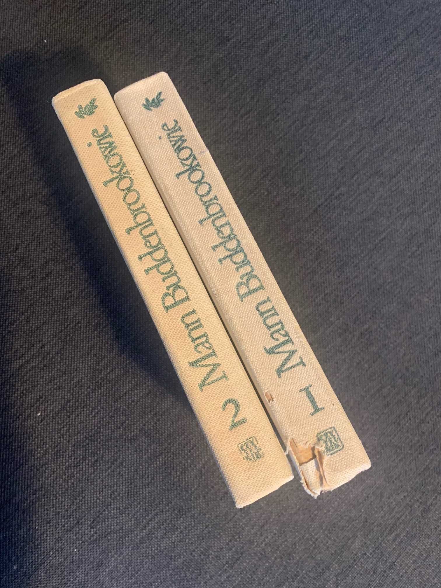 Mann, Buddenbrookowie