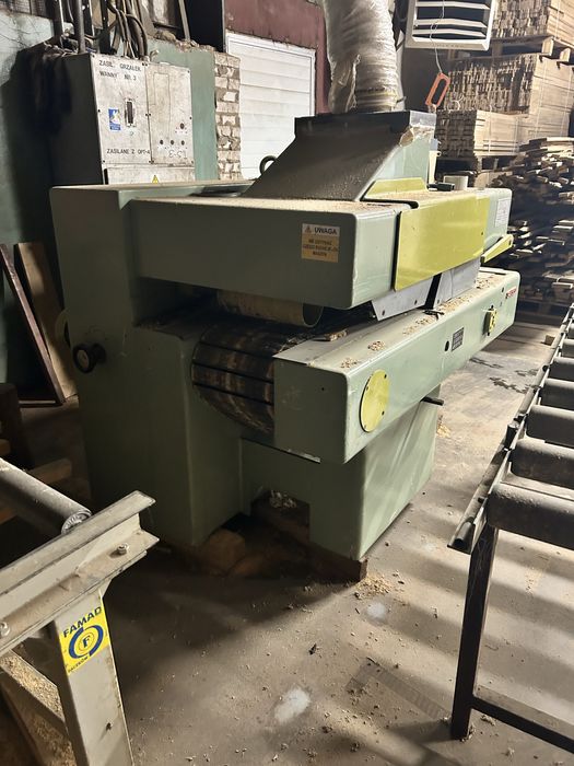 Wielopila Giabbiani grubosciowka