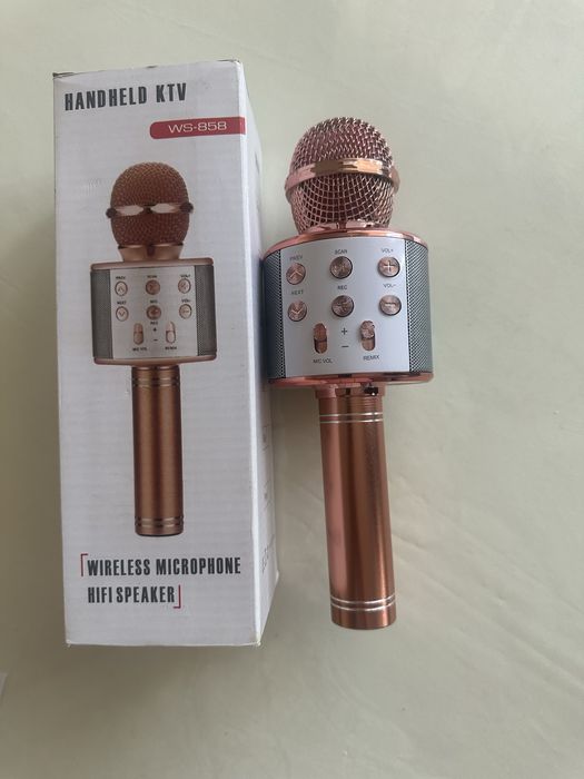 Дитячий портативний мікрофон ws-858,