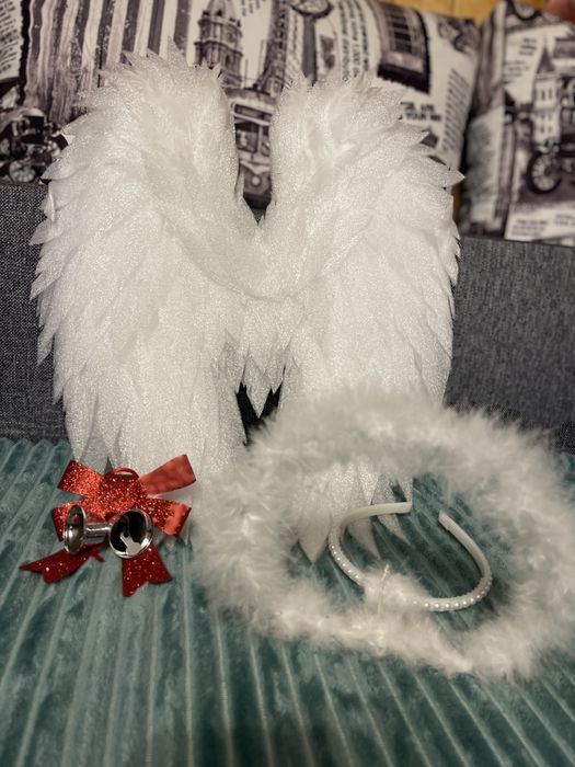 Крила ангела і німб