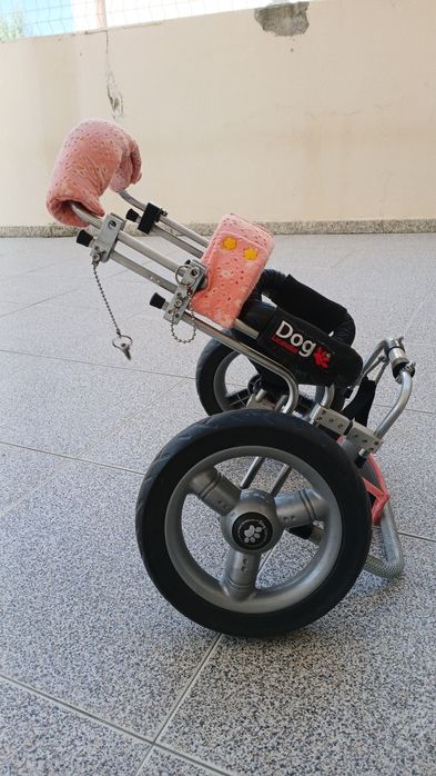 Cadeira de rodas cão