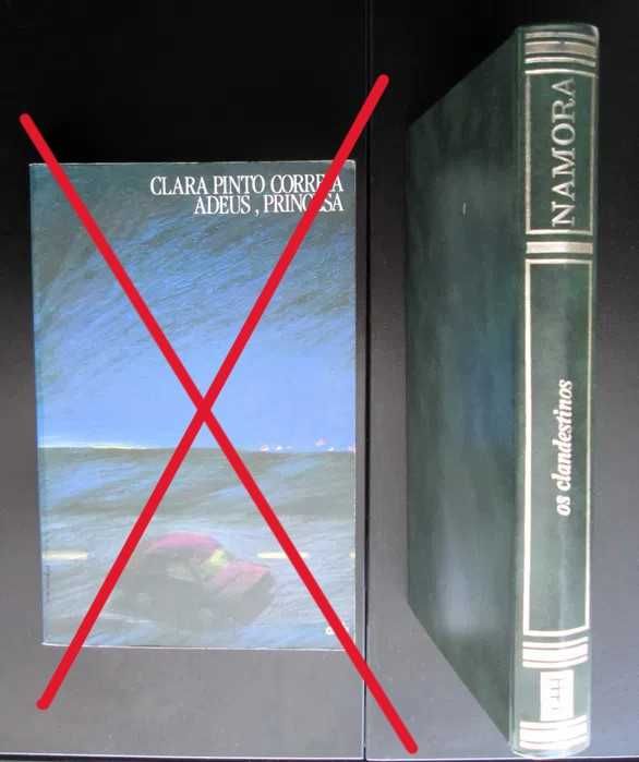 Clara Pinto Correia + Fernando Namora