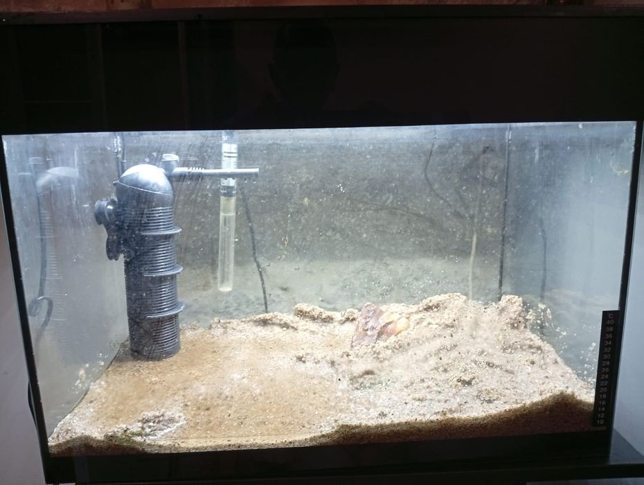 Aquário com luz led, filtro e termostato