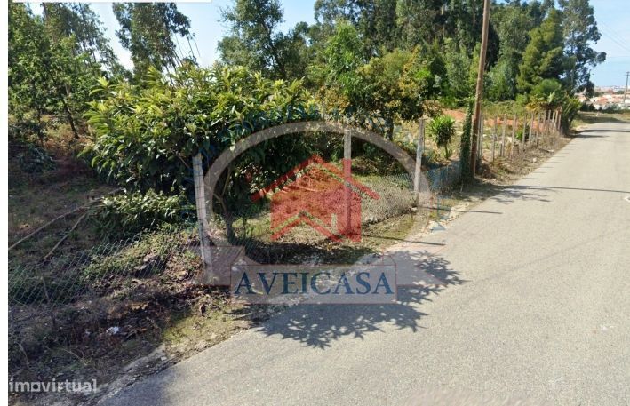 Terreno Para Moradoa Em São Bernardo, Patela