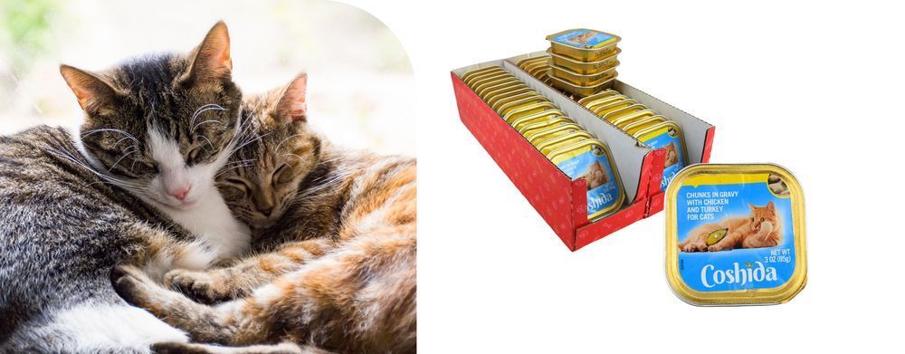 Karma Mokra Dla Kota Coshida, Kurczak Z Indykiem, 80X85G