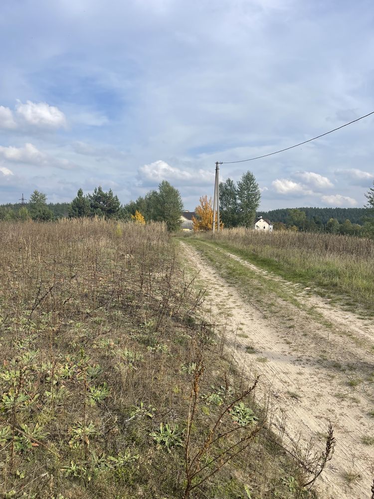 Варовичі-Бобриця продаж ділянки 11 соток з молодими соснами озеро ліс