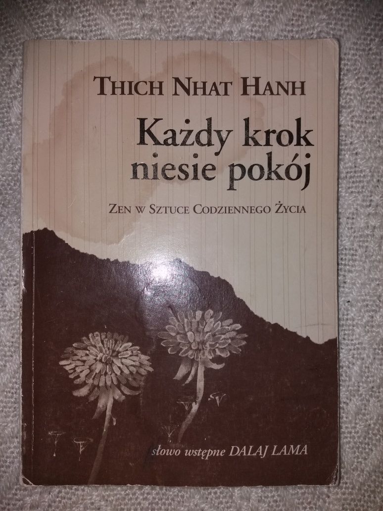 Każdy krok niesie pokój zen w sztuce codziennego życia Thich Nhat Hanh