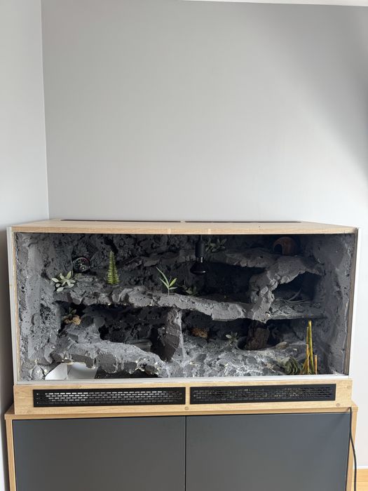 Terrarium 120x60x60!! + gekon lamparci!! Wyposażone!!