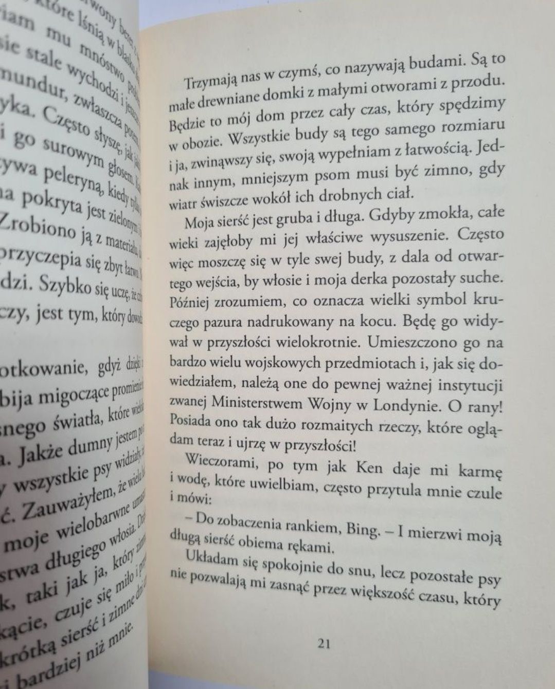 Kundel Bing. O psie, który skakał na spadochronie - Gil Boyd