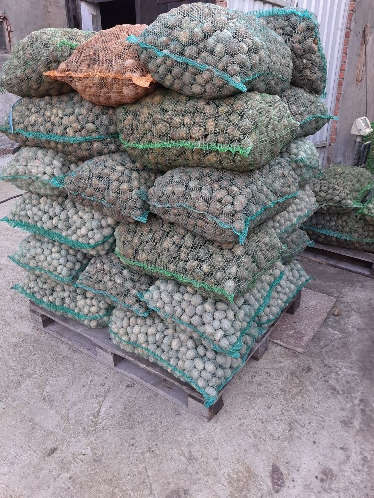 ziemniaki paszowe odpadowe transport