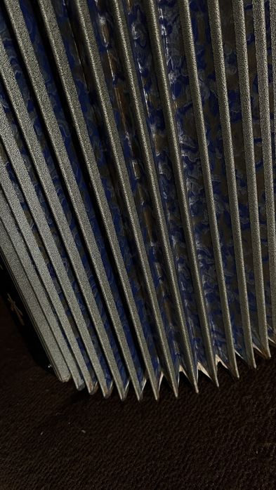 Аккордеон Rauner