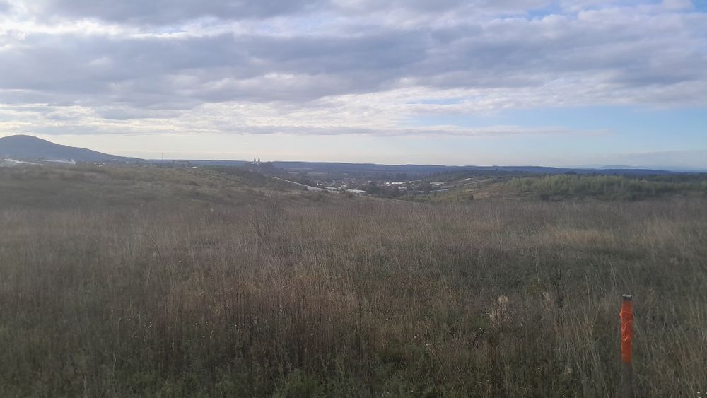 Продам земельну ділянку 16 соток в селі Великі Комяти біля  вишки .