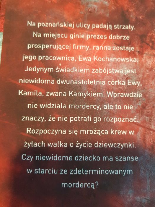 Joanna Jodełka - Kamyk