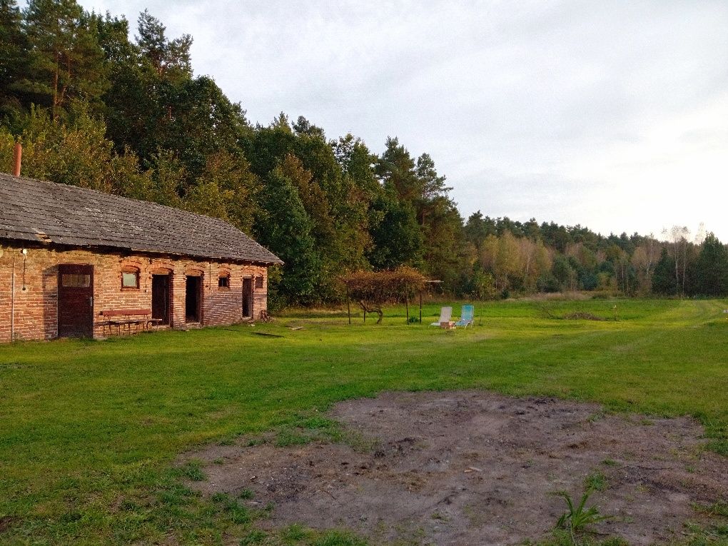 Piękne siedlisko w otulinie lasów.Dotacje!