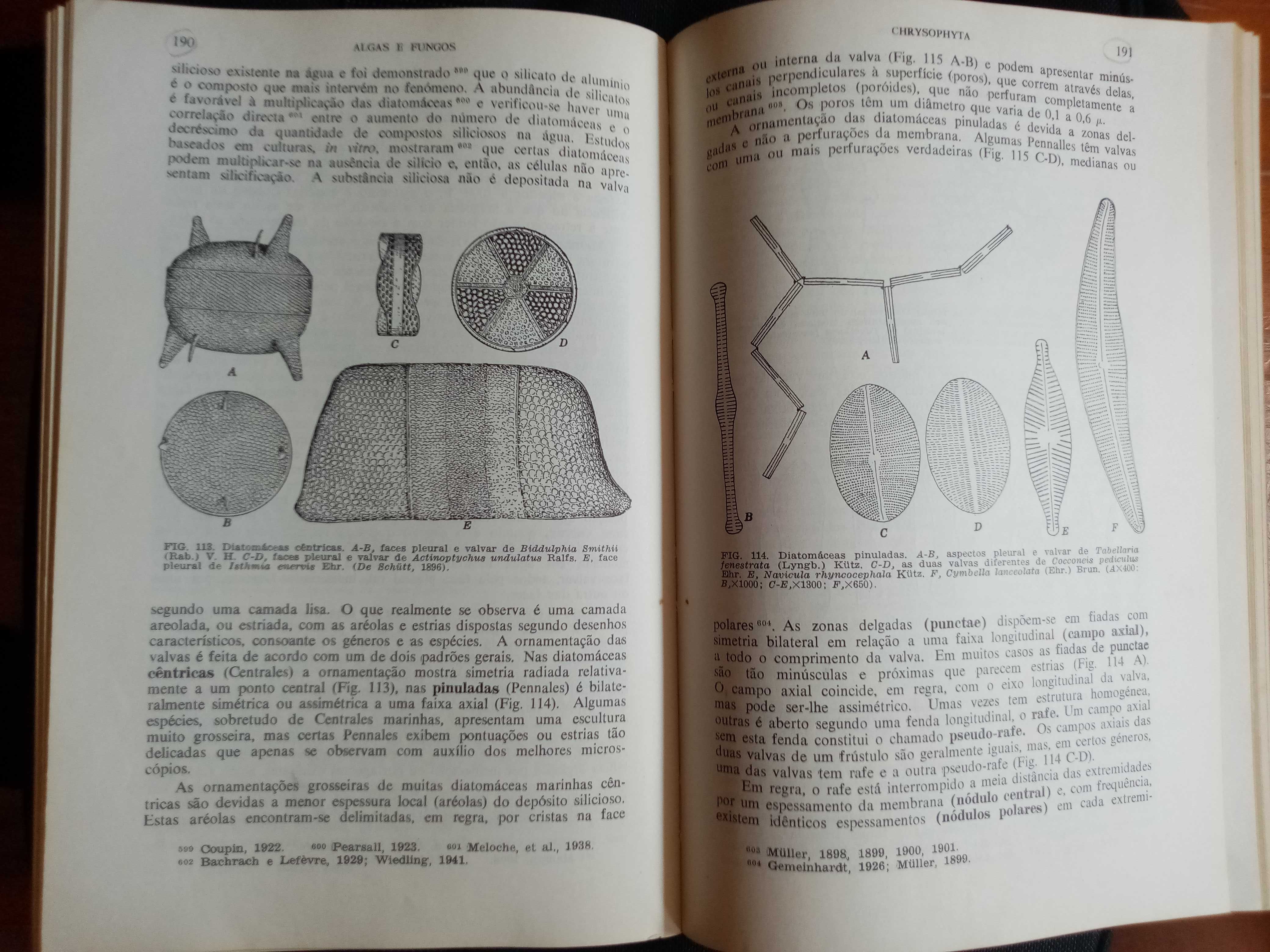 Botânica Criptogâmica Vol. I Algas e Fungos
