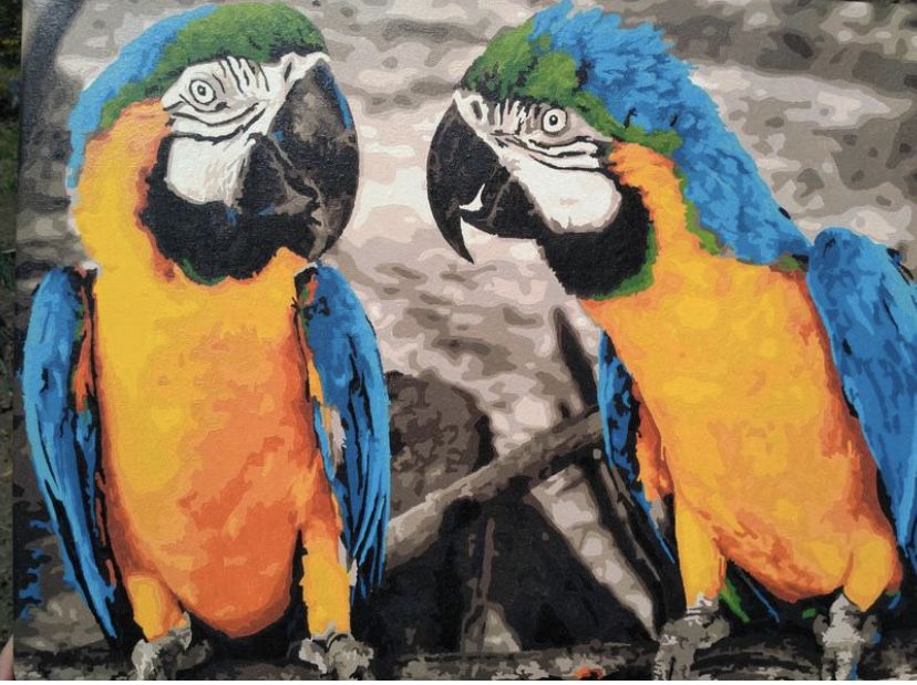 Картина «Папуги»
